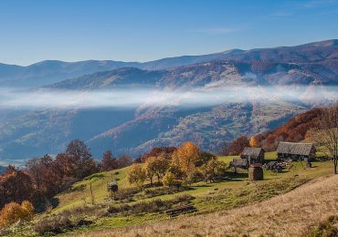 Дніпрянин, який заблукав у лісі на Рахівщині, самостійно знайшов вихід