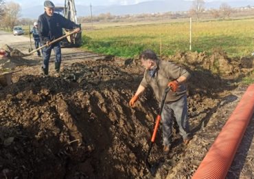 На Закарпатті науковці рятують від усихання Долину нарцисів