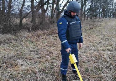 У лісі на Ужгородщині виявили арсенал боєприпасів часів Другої світової війни