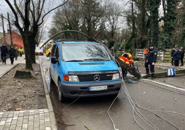 Падіння дерева на вулиці Капушанській обірвало лінію електропередач, повалило три опори та пошкодило автомобіль