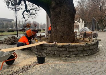 В Ужгороді ремонтують лавки на площі Фенцика і біля ясена Масарика (ФОТО, ВІДЕО)