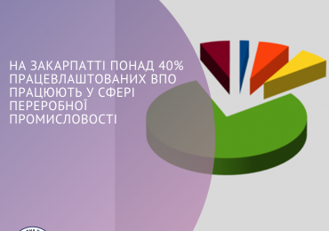 На Закарпатті понад 40% працевлаштованих ВПО працюють у сфері переробної промисловості