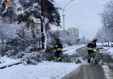 На проспекті Свободи в Ужгороді через снігопад впала гілка дерева