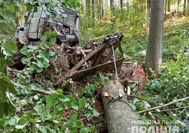 На Закарпатті підприємця підозрюють у незаконній вирубці лісу зі збитками на майже пів млн грн (ФОТО)