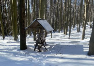 Зимовий облік мисливських тварин проводиться на Закарпатті