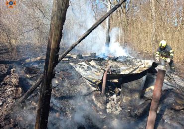 На Ужгородщині через пожежу у занедбаному будинку ледве не загорівся ліс