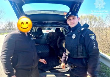 На Ужгородщині патрульні врятували переляканого собаку, який сидів на проїжджій частині