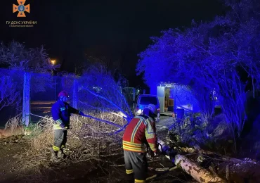 Закарпатські рятувальники ліквідовували наслідки негоди на території краю