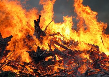 На Закарпатті заборонили розпалювати багаття у лісових масивах