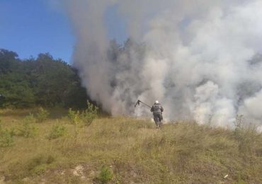 З початку року на Закарпатті ліквідували 33 пожежі в екосистемах