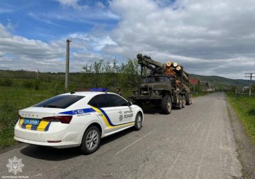 На Ужгородщині виявили водія, який перевозив деревину без дозвільних документів