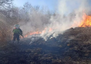 Рятувальники закликають закарпатців бути свідомими та обережними із вогнем на відкритих територіях