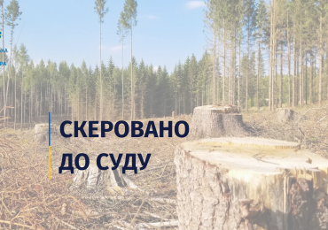 На Закарпатті прокуратура зібрала докази службової недбалості керівника лісництва, збитки від якої склали 1,1 млн грн