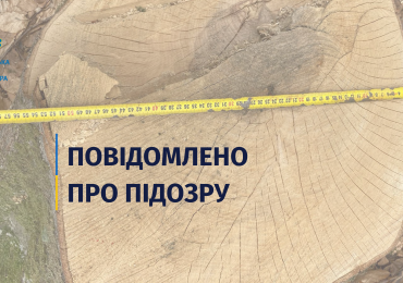 Допустили незаконну порубку дерев зі збитками у понад 50 млн грн – підозрюють двох колишніх службових осіб ДП «Іршавське ЛГ»