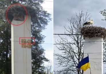 На Закарпатті прибрали радянську зірку на вершині стели, не пошкодивши гніздо лелеки