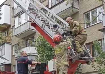 В Ужгороді рятувальники зняли з високого дерева переляканого котика