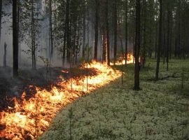 На Закарпатті пожежонебезпечно