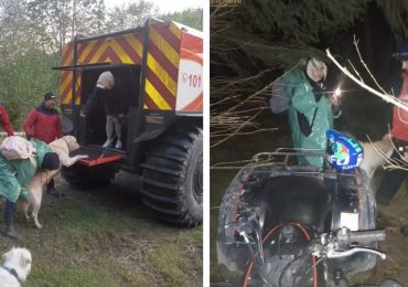 На Закарпатті розшукали подружжя, яке заблукало у Карпатах із трьома собаками