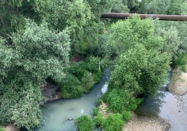 В Ужгороді екологи виявили забруднення річки Уж