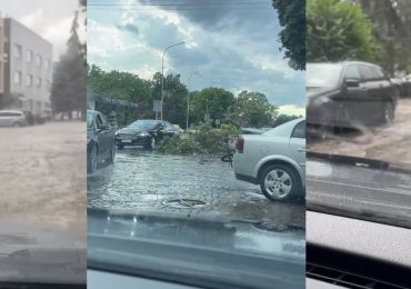 Повалені дерева та підтоплені вулиці: в Ужгороді випала сильна злива