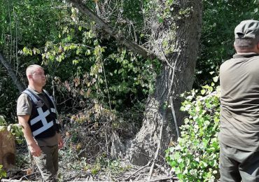 Держекоінспекція Закарпаття виявила мільйонні збитки у парку на Виноградівщині