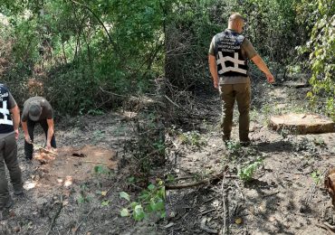 У парку на Виноградівщині виявили самовільну рубку за  мільйонні збитки