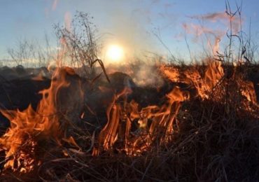 Закарпатців інформують про високу пожежну небезпеку