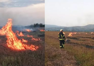 Закарпатські рятувальники вкотре ліквідували загоряння сухостою