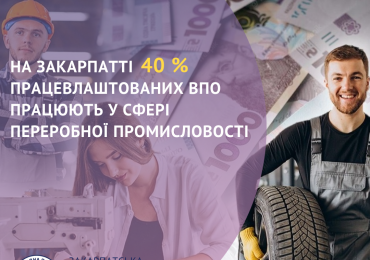 На Закарпатті 40 % працевлаштованих ВПО працюють у сфері переробної промисловості