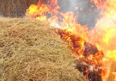 На Закарпатті вогонь охопив споруду, де зберігалося 5 тонн сіна