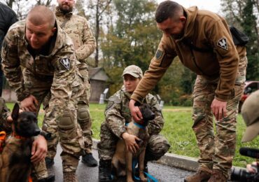 На Закарпатті відбулася перша зустріч ветеранів зі своїми новими чотирилапими вихованцями