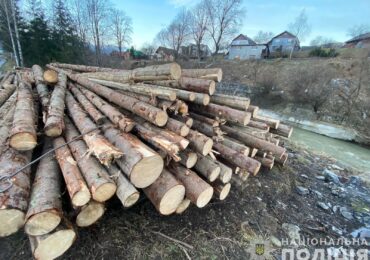 На Рахівщині зафіксували злочин проти довкілля: вилучено понад 40 кубометрів нелегальної деревини