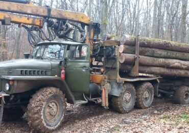 У Держекоінспекції Закарпаття прокоментували вирубку дерев у лісі на "Шахті" в Ужгороді