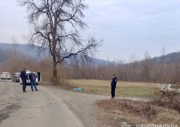 Трагедія на Закарпатті: внаслідок зіткнення з деревом загинув мотоцикліст