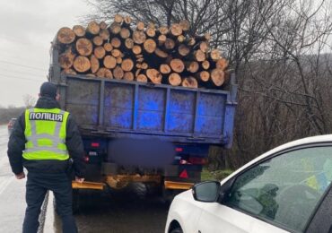 Закарпатські патрульні виявили водія, який перевозив деревину із порушеннями