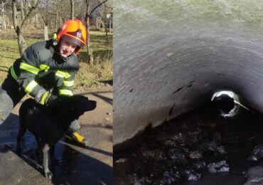 На Іршавщині врятували лабрадора, який застряг у кільцях стічної канави