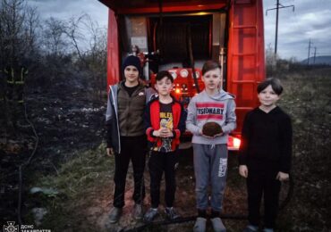Добрі справи: під час пожежі сухої трави на Тячівщині діти врятували їжачка