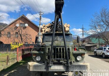 На Тячівщині правоохоронці вилучили вантажівку з нелегальною деревиною