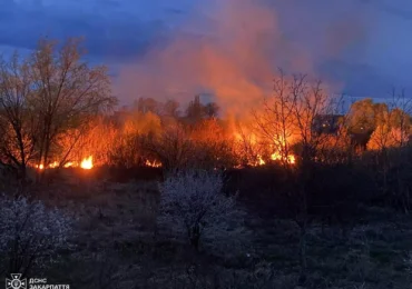 Закарпатці і надалі продовжують порушувати правила пожежної безпеки в природних екосистемах