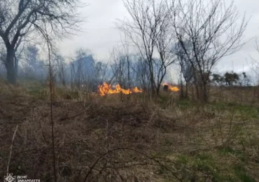 Попередньої доби Закарпаття знову потерпало від екопожеж