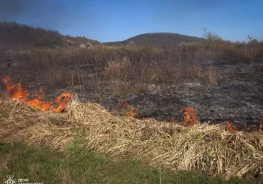 146 пожеж сухої трави ліквідовано на Закарпатті з початку року