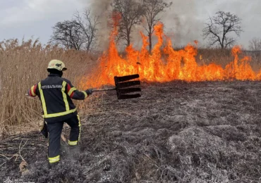 "Хазяйновиті" закарпатці від початку року спалили вже 34 га родючої української землі