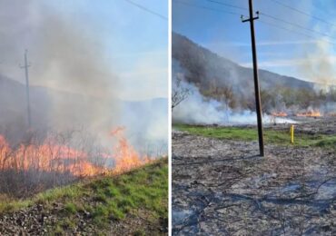 Пожежі в екоситемах на Закарпатті не вщухають: рятувальники продовжують боротьбу