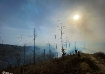 На Рахівщині вирує лісова пожежа
