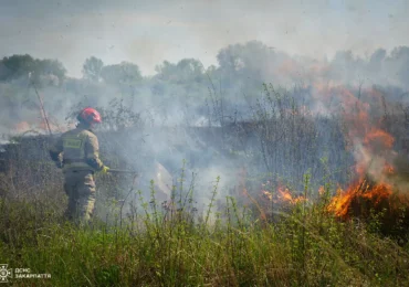 Значну пожежу сухої трави ліквідували вогнеборці в Ужгороді