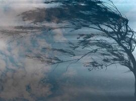 На Закарпатті пориви північного вітру