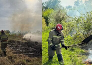 6 разів за добу закарпатські рятувальники виїжджали на гасіння пожеж в екосистемах