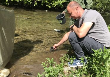 На Закарпатті розпочалась кампанія зариблення водойм