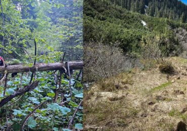 Рятувальники знайшли тіло чоловіка, яке напередодні виявили у горах Рахівщини