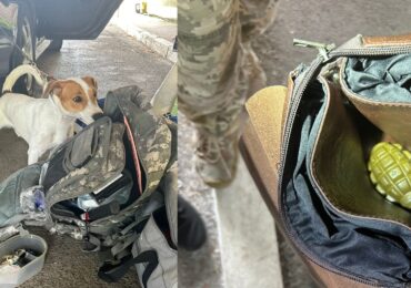 На Закарпатті прикордонники виявили в жінки гранату, яку вона планувала перевезти в Угорщину